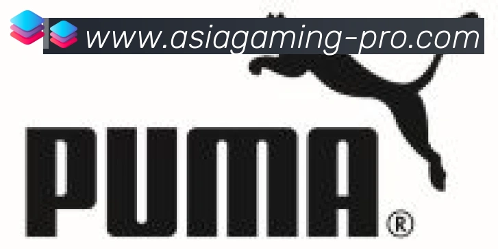 AG真人合作伙伴