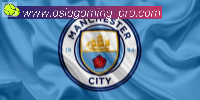 AG真人合作伙伴